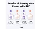Benefits of Starting Your Career with SAP - Ed11