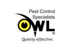 Pest Control Services Dublin Reliable Solutions