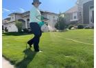 DreamLawn – Lawn Care Services at Kansas City for Healthy, Vibrant Yards