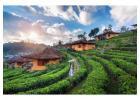 Darjeeling & Gangtok Tour Packages with IMA Holiday