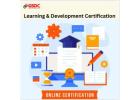 Why Learning and Development Certificates  important in the Digital Transformation Era