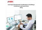 The Role of Learning & Development Certifications in Building a Continuous Learning Culture