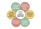 Erectoguide Reveals the Best Natural Treatment for Erectile Dysfunction