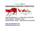 Indonesia Import Data – Real-World Insights & Shipment Details