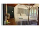 Tapas Goa – Cozy Beach-Facing Wooden Huts in South Goa