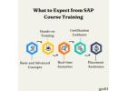 What to Expect from SAP Course Training - Ed11