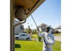 Fast & Safe Wasp Nest Removal Services in Katy, TX