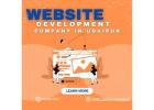 website development company in udaipur​