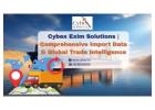 Cybex Exim Solutions | Comprehensive Import Data & Global Trade Intelligence