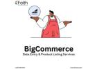 Accurate BigCommerce Product Entry Services for You