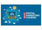 Advance Your Skills with Digital Marketing in Noida