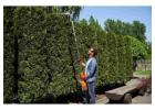 Expert Lawn Mowing Services — Call Westerville Ohio