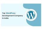 Top WordPress Development Company in India