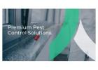 Avayda Pest Control Stops Mice Infestations for Calgary Residents