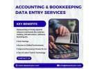 Accounting & Bookkeeping Data Entry Services in India