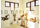 Explore Bay Island Driftwood Museum – The Pride of Kottayam