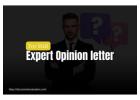 H-1B Specialty Occupation Expert Opinion Letter — Document Evaluation