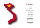 Access Reliable Vietnam Import Data for Business Growth