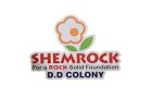 Kids Preschool Near Amberpet | Safe Preschool In DD Colony | Shemrock Preschool DD Colony