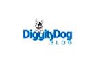 Diggity dog