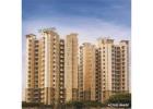 Luxury Apartment In Gurgaon | Experion
