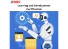 How Learning and Development Certification Helps HR Drive AI Adoption in the Workplace.