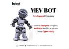 Professional MEV BOT Services with Continuous Monitoring and Expert Assistance