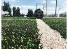 Get Professional-Grade Turf for Football Turf Manufacturer
