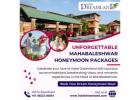 Love Blooms in Mahabaleshwar: Exclusive Honeymoon Packages for a Dreamy Start