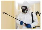 Professional Termite Inspection Gold Coast – Protect Your Home Today!