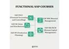 Functional SAP Courses - Ed11