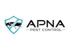 Apna Pest Control Langley: Protect Your Home