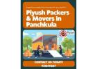 Piyush Packers Movers – Best Packers and Movers in Panchkula