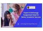 Expert Criminology Assignment Help for Better Academic Success