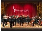 String Quartet Melbourne Live Music for Special Events
