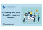 Searching for Expert Strapi Development Services?