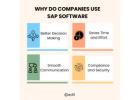 Why Do Companies Use SAP Software - Ed11