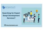 Searching for Expert Strapi Development Services?
