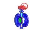 CWT Valve – Leading Butterfly Valve Manufacturers You Can Trust
