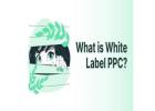 Choose the White Label PPC Solutions to Scale Your Agency Success