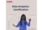 Unlock Career Growth with a Data Analytics Graduate Certificate