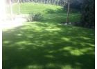 Synthetic grass orange county