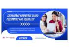 Best Compiled Salesforce Commerce Cloud Customers List