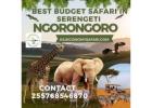Best Budget Safari in Serengeti and Ngorongoro