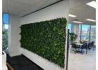 Elegant Artificial Green Walls in Sydney to Create Effortless Natural Charm Indoors