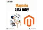 Magento Product Data Entry Services for Busy Sellers