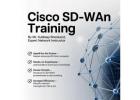 SdWan Training