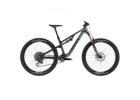 2025 Canyon Neuron CF LTD Mountain Bike (KINGCYCLESPORT)