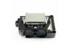 Epson DX7 Series EPSON F196000 (ATLASPRINTSTORE)