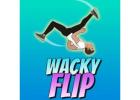 Wacky Flip A Physics Driven Stunt Challenge